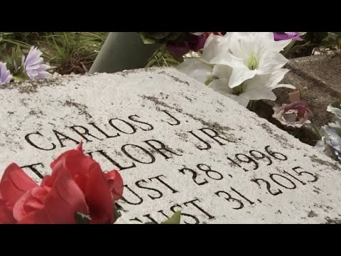 Jovo - Special ( Official Music Video)