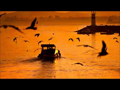 Yass & Fabio Aurea - Z Tribute