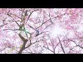 WhatsApp Status Madhu Pole Peytha