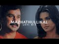 Mazhathullikal Kal Ho Na Ho Aesthetic Lofi Mix Vettam Malayalam Lofi Mashup Prazzmu6