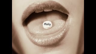 Novel - Molly (Official Music)