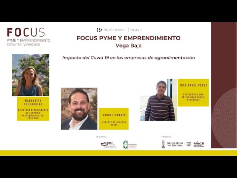 Sesin Impacto del Covid19 en las empresas de agroalimentacin - Focus Pyme Vega Baja 20[;;;][;;;]