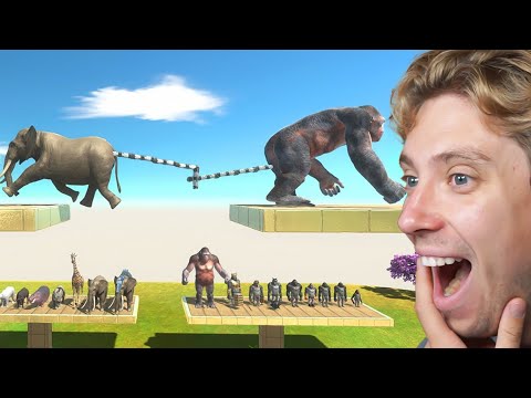 Reacting To MAMMALS vs PRIMATES Tug of War