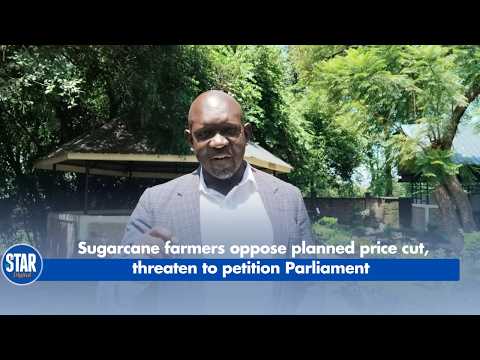 Sugarcane farmers oppose planned price cut, threaten to petition Parliament