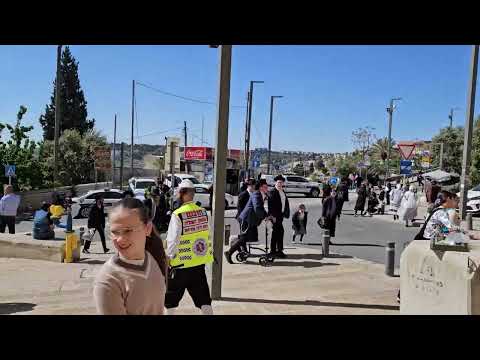 Hallel Songs Blessings 🙌 from Kohanim at the kotel Jerusalem