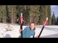 Nordic Skiing Style