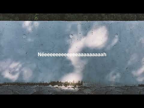 Pintarolas - Motas Barroaige (Visualizer)