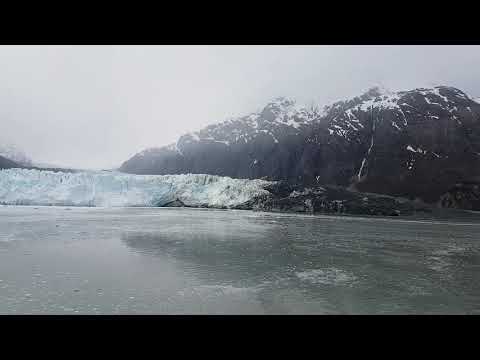 Westerdam - May 2018 in Glacier Bay(1)