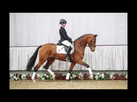 34  Florentina Stute v. Florenciano - Fidermark