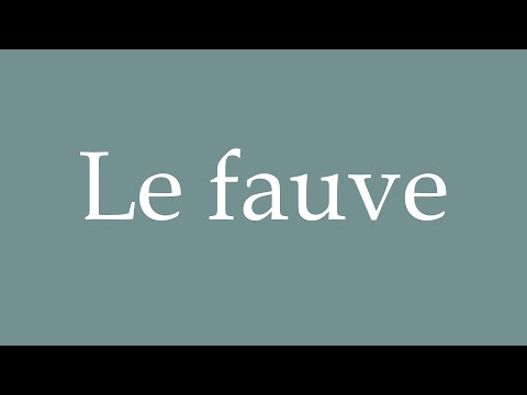 How to Pronounce ''Le fauve'' (Fawn) Correctly in French