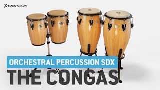 Video thumbnail for Orchestral Percussion SDX: The Congas by Toontrack