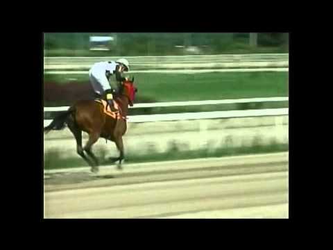 Copa El Corsario 2012 - La Rinconada