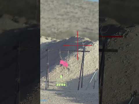 The Benjamin Bulldog .457 - It's Not About The Looks! #BenjaminAirguns #BenjaminBulldog @GamoOutdoor