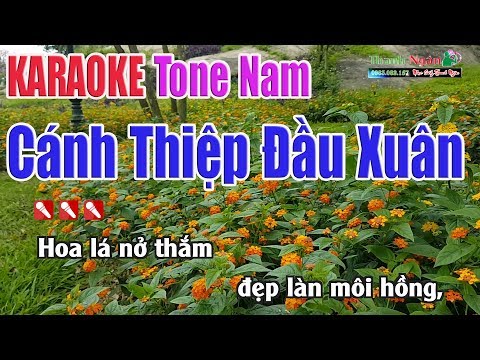 Cánh Thiệp Đầu Xuân Karaoke | Tone Nam - Nhạc Sống Thanh Ngân