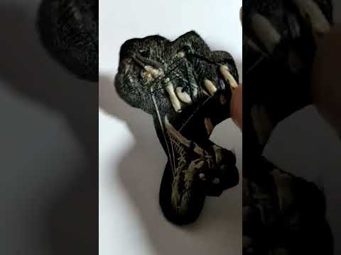 Women Black Flower Brooch, Size: 4 Inch