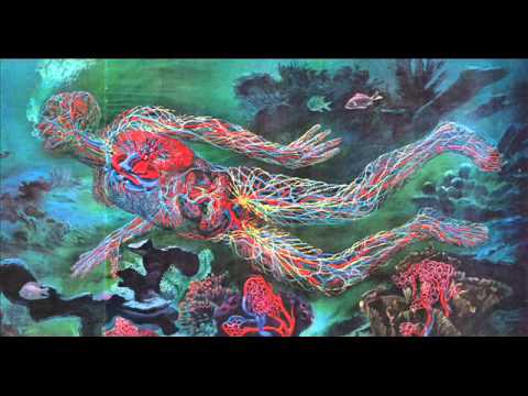 Shattered Order - Circus Dreams