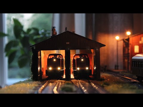 Roco H0 BR 110 - Henning Sound, PluX22 Platine und automatischen Kupplungen