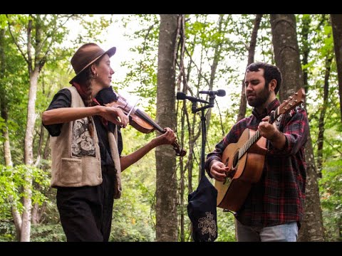 Moonshiner - Foresta