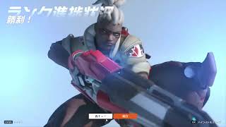 DIY Stone Flower Craft Ideas Bring Nature Indoors!