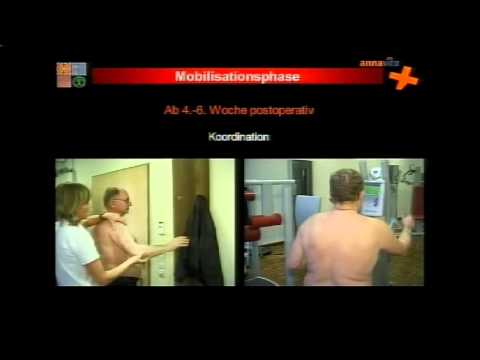 Gelenkersatz in Nischni Tagil Bewertungen Pochende Schmerzen vom Hals bis zur Stirn