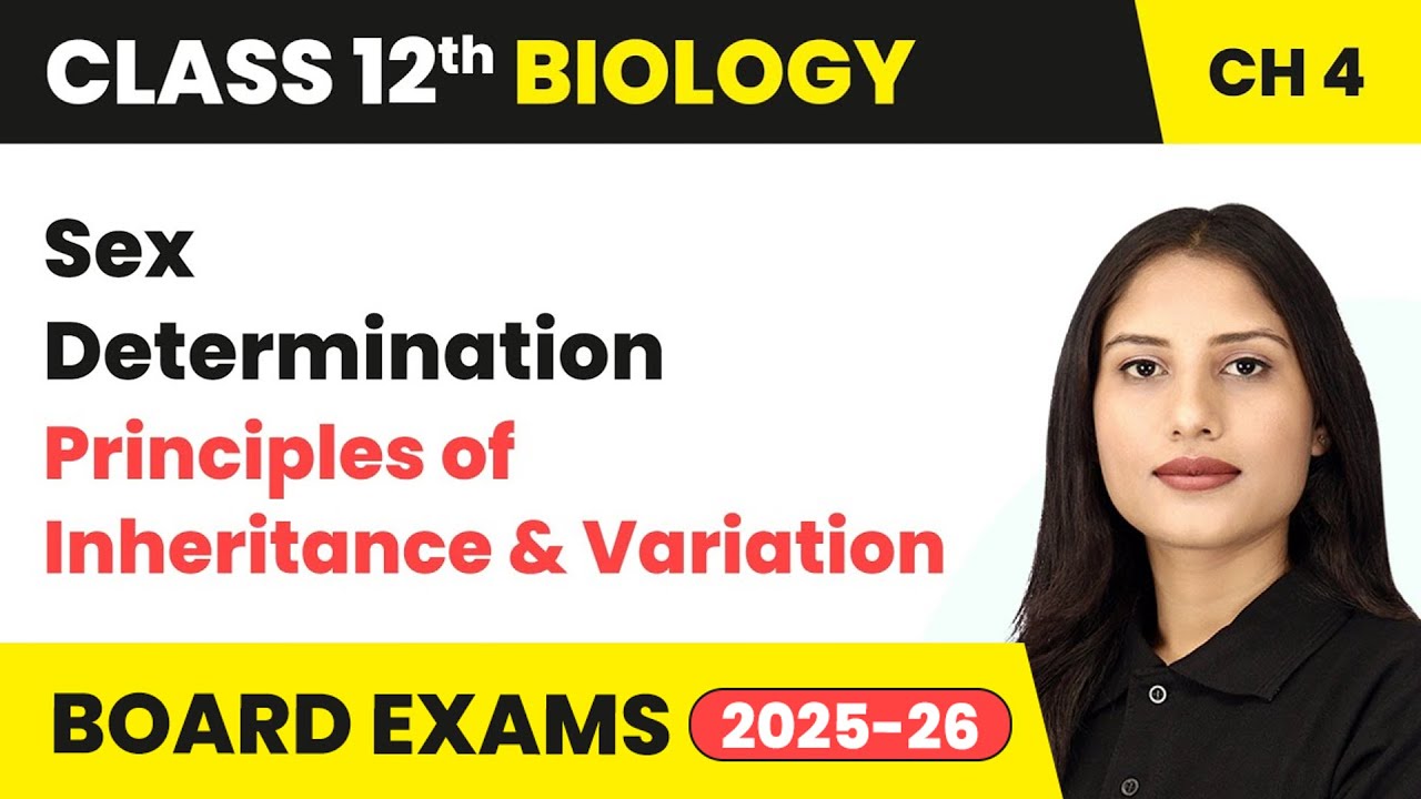 Sex Determination - Principles of Inheritance and Variation | Class 12 Biology Chapter 4 | CBSE