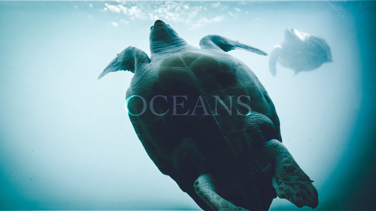 Why are oceans so important?