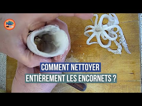 comment nettoyer octopus
