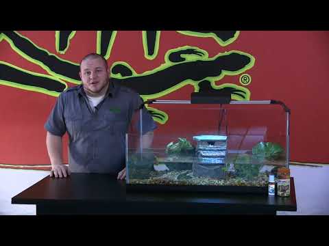 Zilla | Premium Aquatic Turtle Kit - Starter Turtle Kit