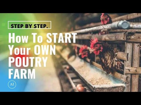 , title : 'Tips to START your OWN POULTRY FARM | Beginner Guide Step by Step Chicken Farming'