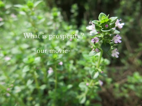 Largo promotion ｍovie