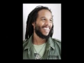 Ziggy Marley & the Melody Makers - Born to Be Lively