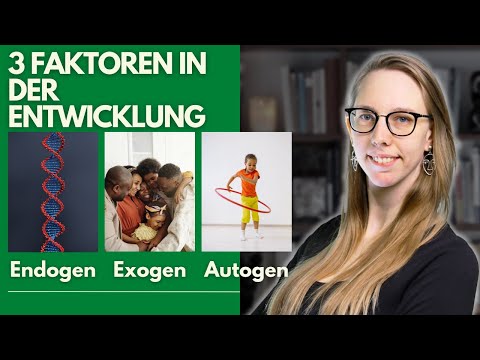 Bedingungen der Entwicklung - einfache Erklärung der Entwicklungsfaktoren
