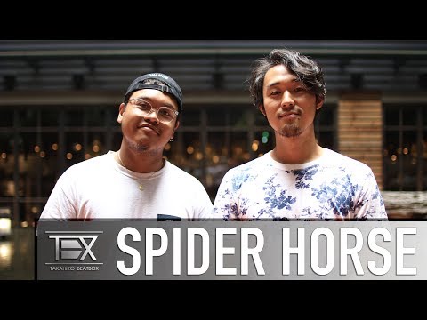 SPIDER HORSE  |  Beatbox Tag Team World Champion 2018