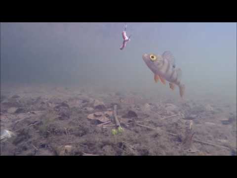 Kurkistus pinnan alle 2