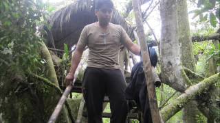 JOSÉ MIGUEL - LLORARÉ (CRISTIAN CASTRO)