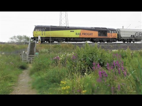 GBRf Class 60s near Fellgate, South Tyneside  -  30th July 2021