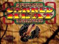 Canned Heat - Woodstock Homecoming - 2010 - Chicken Shack Boogie - Dimitris Lesini Greece