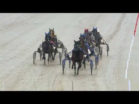 2018.03.17. 1. futam - CSAPODÁR DÍJ