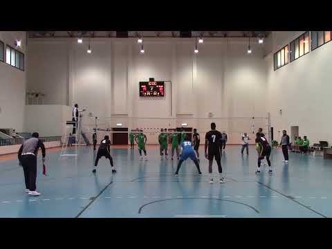 Amir Ammar's highlights