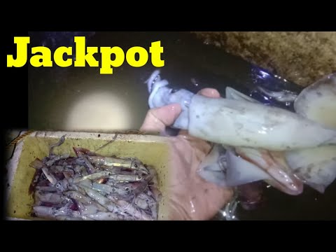 V425 - Update lang sa huli namin ka Gabi sa Pamumusit Nakarami agad kami ng huli