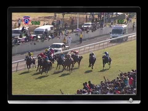 RACE MEETING 16 RACE 06 - THE BLUE LABEL BARBE CUP 2017 (300M) - (TANDRAGEE )
