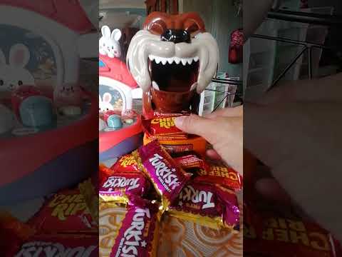 ASMR 🌟MAD DOG FAVORITES CADBURY CHERRY RIPE AND TURKISH DELIGHT CHOCOLATES