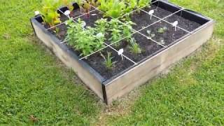 My organic raised bed garden