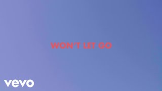 Won't Let Go Music Video