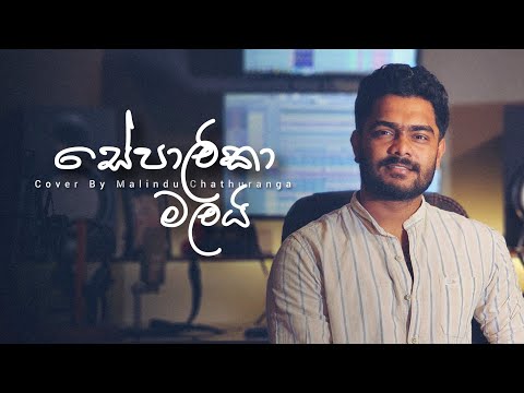 Sepalika Malai | සේපාලිකා මලයි | Voice Of Malindu Chathuranga
