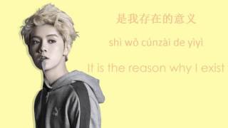 Luhan 鹿晗 - Excited 封印 (Chinese|Pinyin|Eng Lyrics)