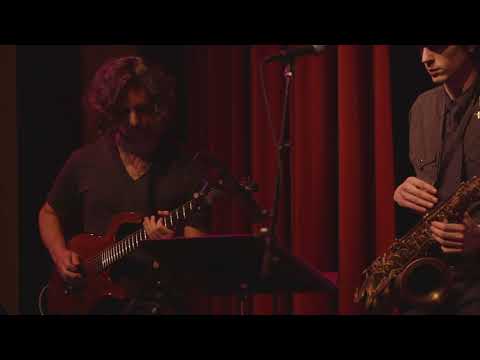 Matt Berger - Nothing Personal Guitar Solo on Parker Fly Classic