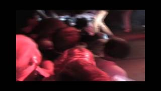 Gorilla Biscuits - Cats and dogs