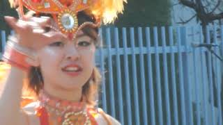 サンバカーニバル 武蔵野美術大学女子大生