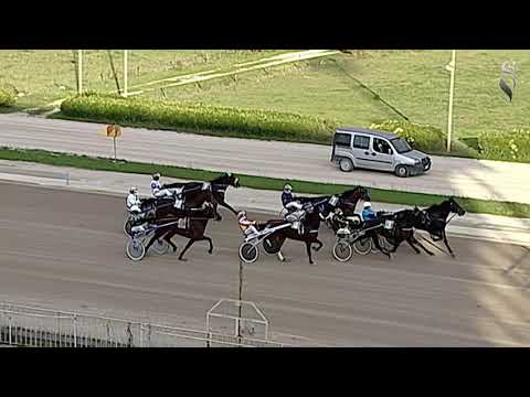 Aversa trotto 21 Ottobre 2020 - 5° Corsa